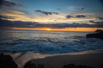 Coconut Plantation 1174-2