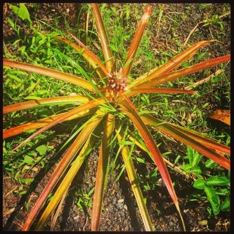 Casa By The Sea Vacation Rental