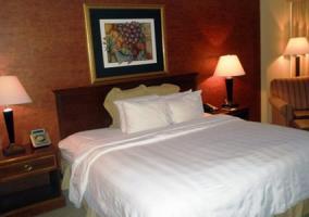 Hotel Hampton Inn & Suites Alpharetta-windward