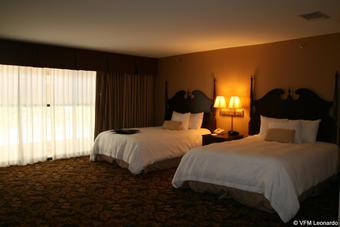Hotel Hampton Inn & Suites Del Rio Tx