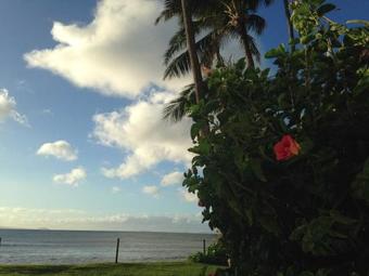 Apartamento Kanai A Nalu #101 Condo