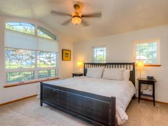 Beach Pine ~ Mca 1575