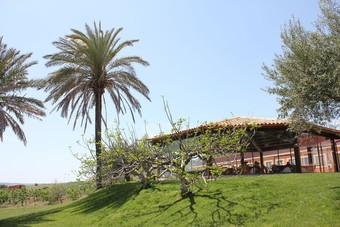 Hotel Azienda Agrituristica Colle San Mauro
