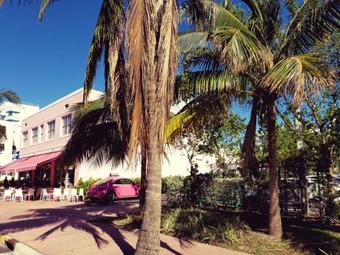 South Of Fifth Apartments