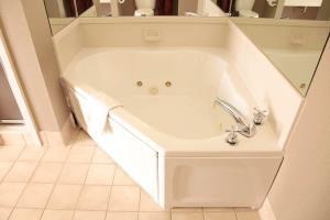 Hotel Hampton Inn & Suites Dallas-dfw Airport North-grapevine