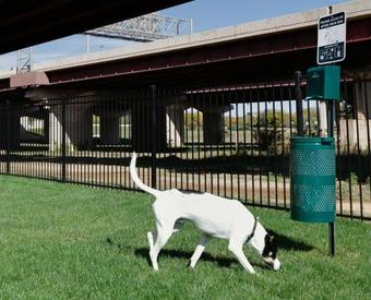 Hotel Staybridge Suites - Oklahoma City - Downtown