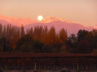 Agroturismo Caba�a Del Alto Tupungato