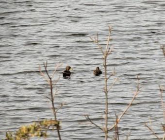 Bed & Breakfast Peperina Lago Los Molinos