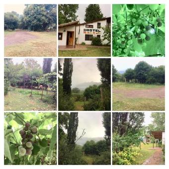 Hostel Mand� Fruta