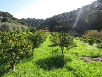 Holiday Home Rua Do Catadouro 5