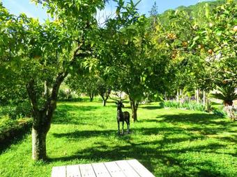 Holiday Home Rua Do Catadouro