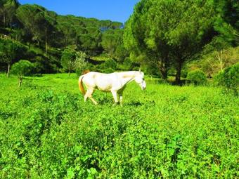 Holiday Home Rua Do Catadouro 3