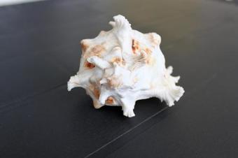 Apartamento Traum Dachgeschosswohnung Am Teich