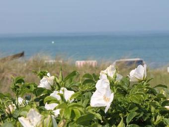 Apartamento Leuchtturmblick 2