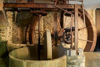 Agroturismo Agriturismo L'adagio