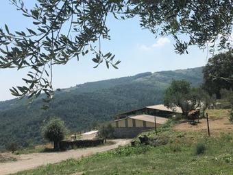 Agroturismo Az.agr. Il Cavalleggero