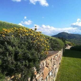 Agroturismo Agriturismo La Paciarella