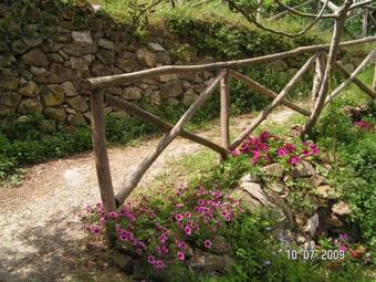 Agroturismo Gli Ulivi Agriturismo