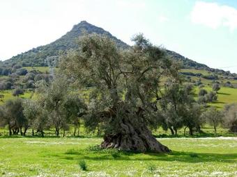 Bed & Breakfast Orange Ville