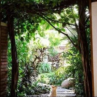 Hotel La Casa Rosal�a