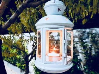 Bed & Breakfast Villa Adelaide Suite & Room