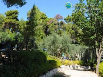 Hotel Camping Villaggio Internazionale