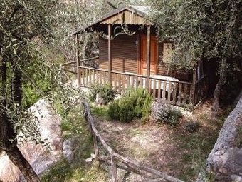 Il Paese Di Cirib�