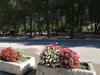 Agroturismo Agriturismo Torrevecchia