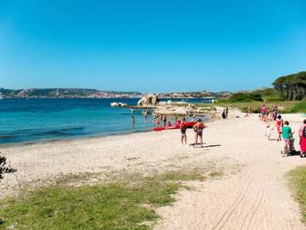 Locazione Turistica Villa Hibiscus (pau232)