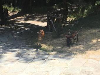 Agroturismo Agriturismo Montemezzano