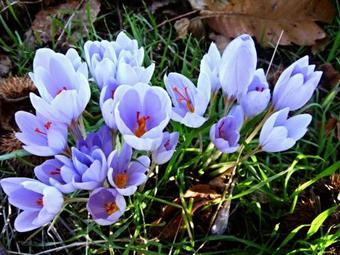 Agroturismo Feudo Magazzeni