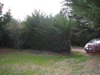 Villa House Barbatre - 5 Pers, 75 M2, 3/2