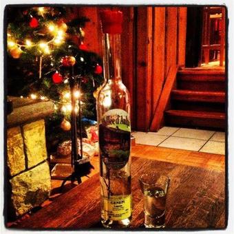 Bed & Breakfast Chalet La Moussi�re