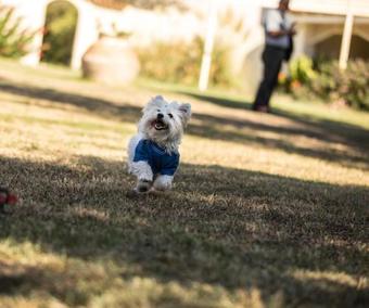Maya Bistro Hotel & Beach