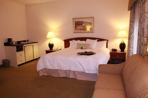 Hotel Hampton Inn & Suites Binghamton/vestal