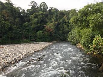 Hotel Waterstone Guesthouse