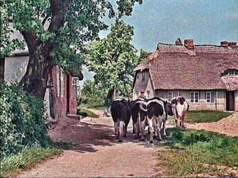 Apartamento Fachwerkhaus Zirkow