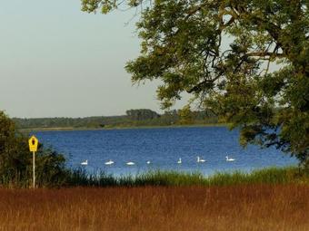 Apartamento Ferienwohnungen Jagdhaus 6