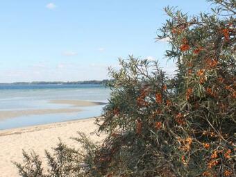 Apartamento Familiengef�hrte Pension Nr 6