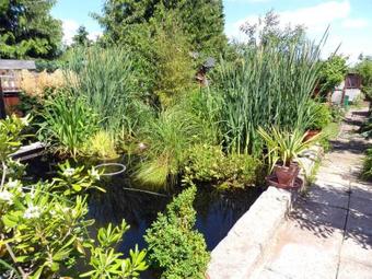 Ferienwohnung Waren See 7131