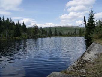 Apartamento Haus Renate