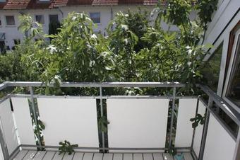 Apartamento Ferienwohnung Dr. Roland Jeske