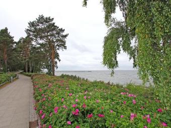 Apartamento Ferienwohnung Lubmin Vorp 2951