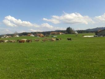 Apartamento Biolandhof W�rtenberger