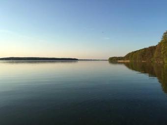 Ferienhaus Urlaub Mit Hund Am Plau