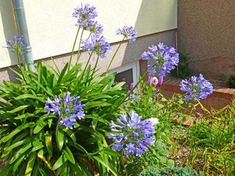 Apartamento Ferienwohnung Kleinzerlang See 9001