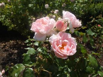 The Art Wearehouse In Deloraine