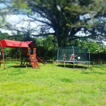 Lodge Cesar's Tropical Hotel