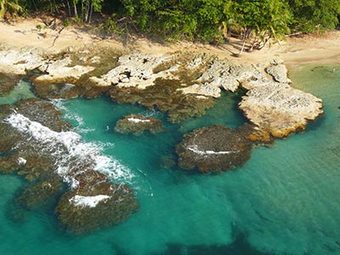 Hotel Tree House Lodge