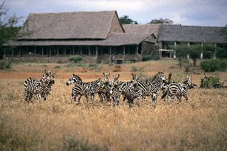 Hotel Kilaguni Serena Safari Lodge